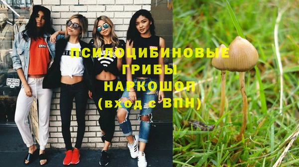 ешки Волосово