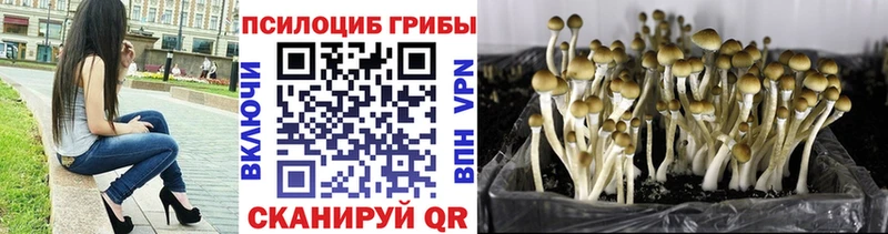 Галлюциногенные грибы GOLDEN TEACHER  где продают наркотики  Энем 
